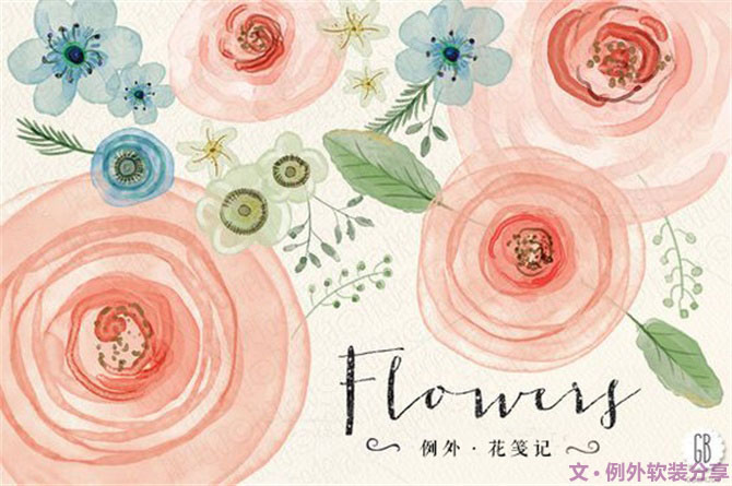 【例外.花箋記】洋牡丹，花叢中的人氣精靈
